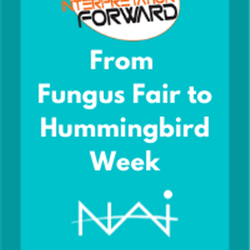 From Fungus Fair to Hummingbird Week: Virtual Interp. Events