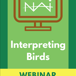 Interpreting Birds Webinar